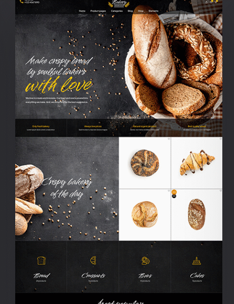 portfolio 5